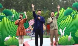 洪大炮最新爆料新闻视频,揭秘事件背后惊人真相